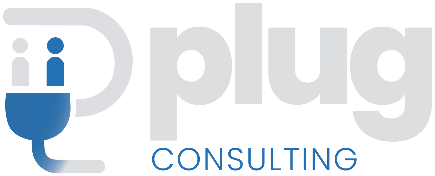 Plug Consulting